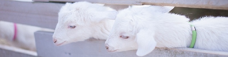 �ԍ؂̑I�ׂ���_�ۏ��T�C�g